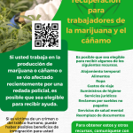 Proyecto de recuperación para trabajadores de la marijuana y el cáñamo