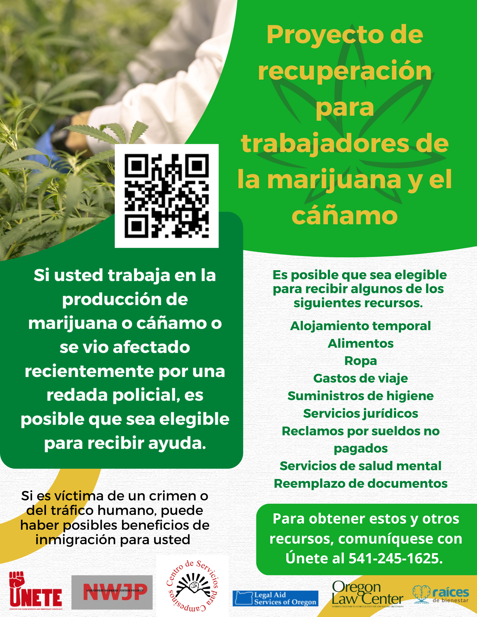 Proyecto de recuperación para trabajadores de la marijuana y el cáñamo
